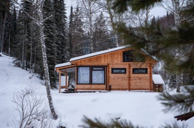 Kış tatil evi ormandaki.