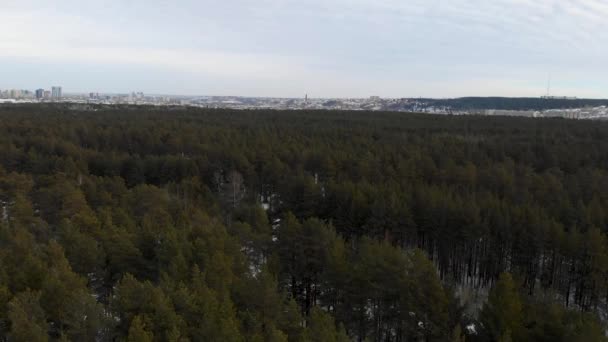 Aerial view of winter forest. — Stock Video