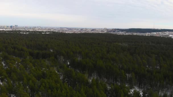 Aerial view of winter forest. — Stock Video