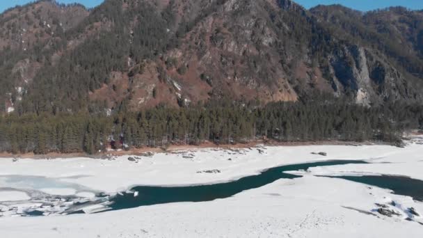 Aerial view of spring turquoise river Katun — Stock Video