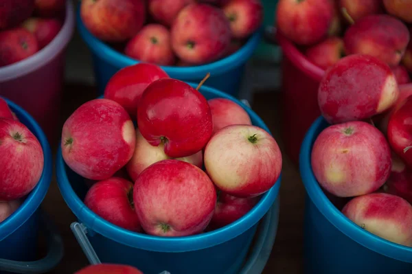 Красные спелые яблоки в ведре . — стоковое фото
