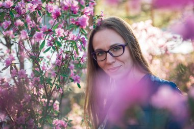 Altay dağlarında çiçek açan maralnik rhododendron