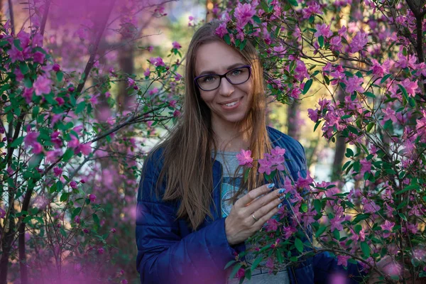 Blooming maralnik rhododendron in Altai mountains — Stock Photo, Image