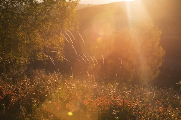 Beauté aube dans les montagnes — Photo