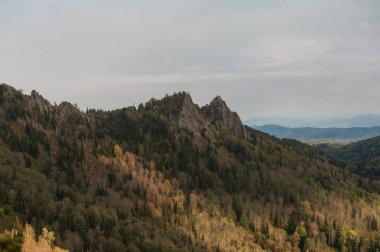Altay dağlarında görünümünde Güzellik