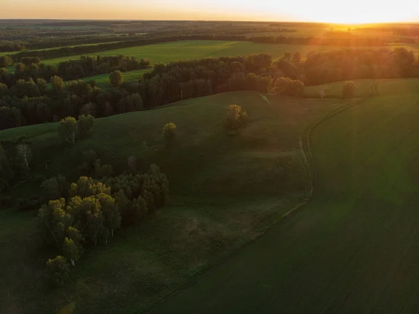 緑のフィールドと牧草地のトップの空中ビュー — ストック写真