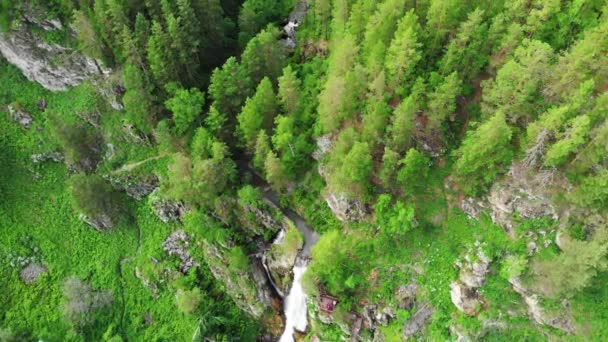 알타이 산맥의 폭포가 있는 푸른 숲 위를 날아다니는 드론. — 비디오