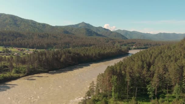 Aerial view of Katun river — Stock Video