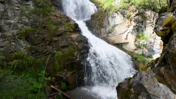 Vodopád v horách Altai. — Stock video