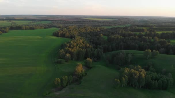 4K aerial of flying over a beautiful green meadow — Stock Video