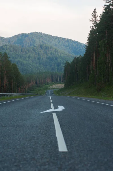 Schönheitsstraße m52 genannt chuiskiy trakt — Stockfoto