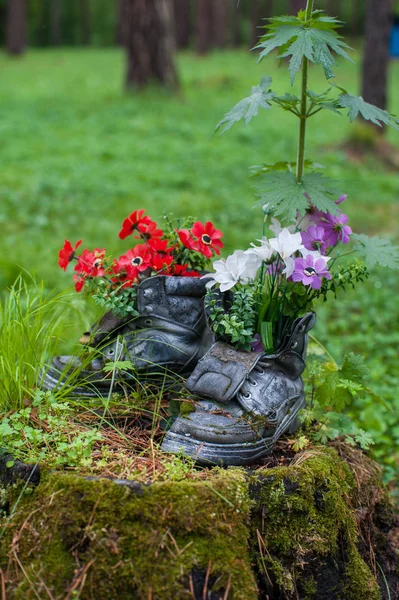 Stivale turistico con fiori nella foresta. — Foto Stock