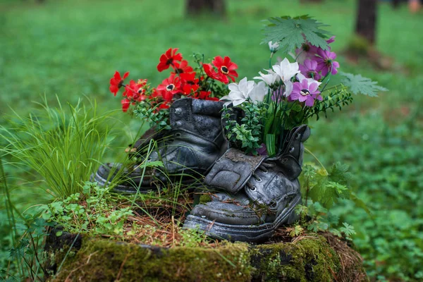 Toeristische laars met bloemen in het bos. — Stockfoto