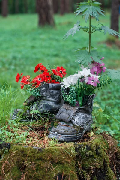 Turistická bota s květinami v lese. — Stock fotografie