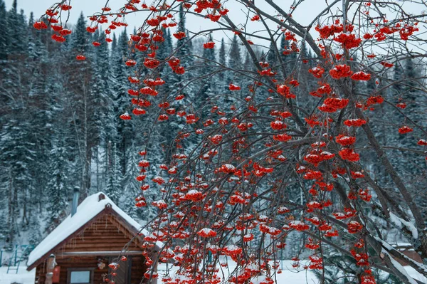 Casa de férias de inverno na floresta . — Fotografia de Stock
