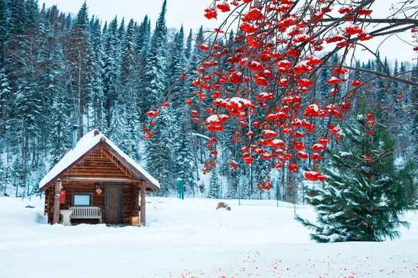 Winter holiday house in forest.