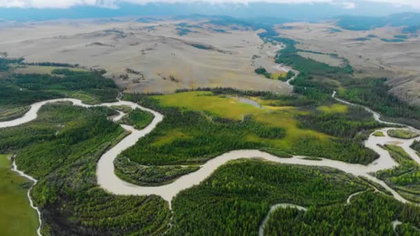 Vidéo aérienne au-dessus de la rivière Chuya dans la steppe Kurai — Video