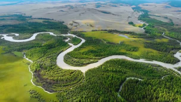 Воздушное видео над рекой Чуя в степи Курай — стоковое видео