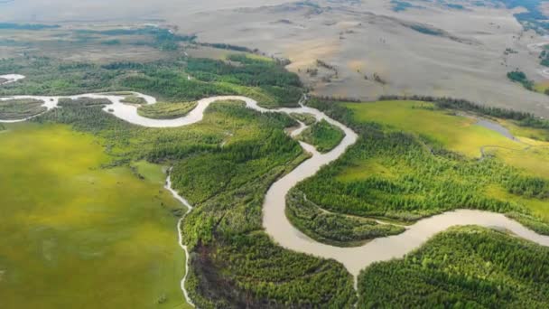 Luftbild über dem Fluss Chuya in der Kurai-Steppe — Stockvideo