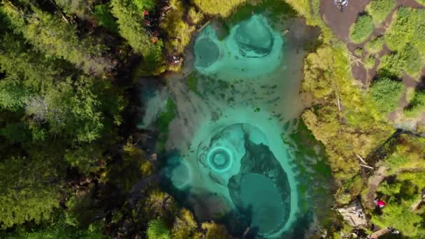 Lago Geyser com molas termais — Vídeo de Stock