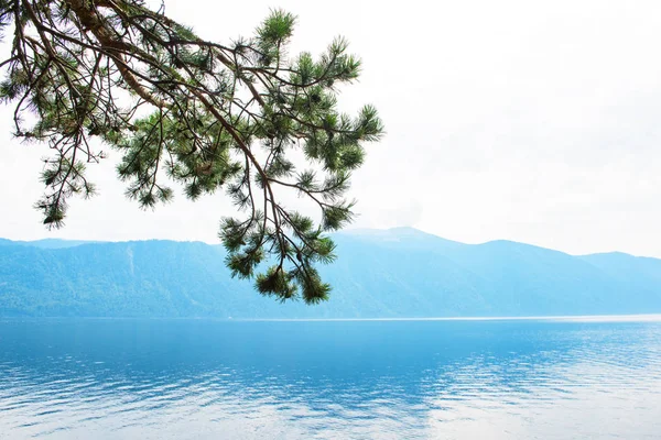 Lago Teletskoye nelle montagne di Altai — Foto Stock