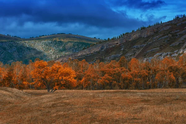 Amazing view of the autumn day — Stock Photo, Image