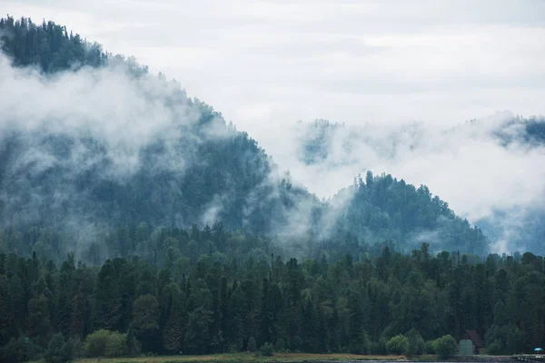 Little house in forested mountain slope