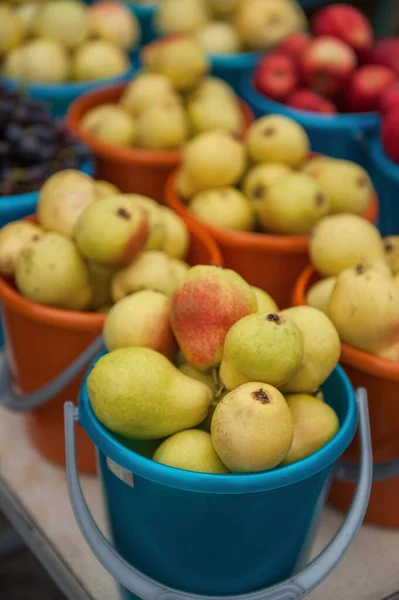 Bucket with pears — Stockfoto