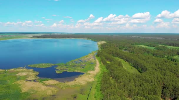 Widok z powietrza na jezioro leśne — Wideo stockowe