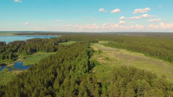 Vista aérea del lago del bosque — Vídeos de Stock