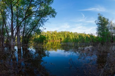 Güzel bir günde göl