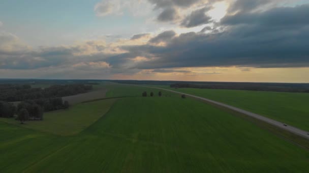 Widok z lotu ptaka latem o zachodzie słońca. — Wideo stockowe