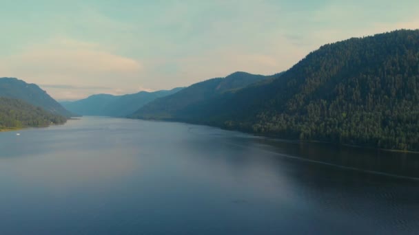 Vista aérea del lago Teletskoe — Vídeos de Stock