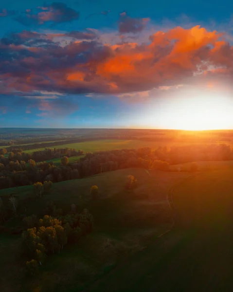 Vue aérienne supérieure des champs verts et des prairies — Photo