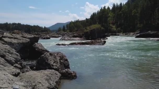 Вид на реку Катунь — стоковое видео