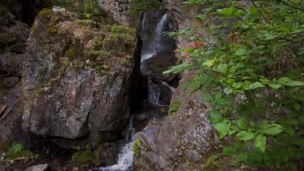 Tschetschenischer Wasserfall im Altai — Stockvideo