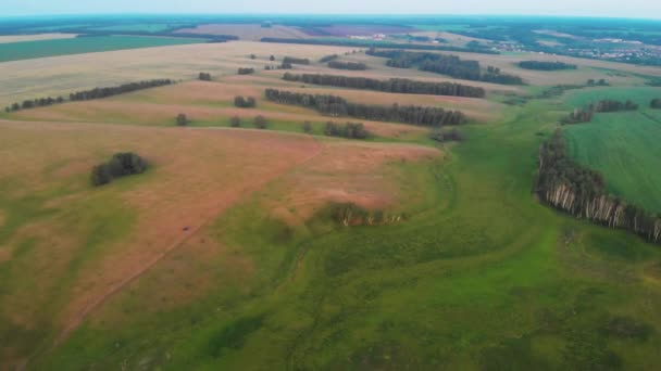 4K antenn att flyga över en vacker grön äng — Stockvideo