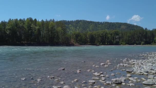 View of Katun river — Stock Video