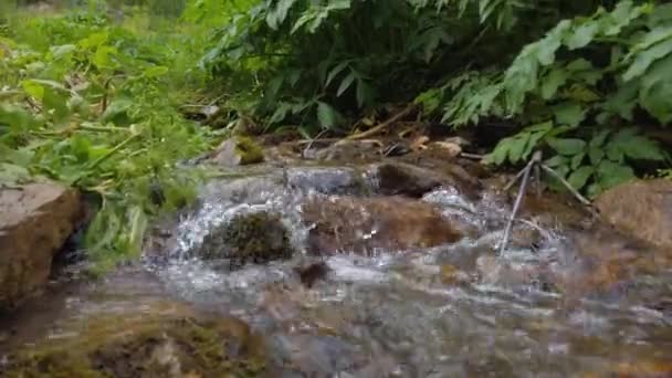 Fluxo no desfiladeiro da montanha — Vídeo de Stock