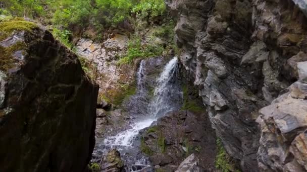 阿尔泰的切什基什瀑布 — 图库视频影像