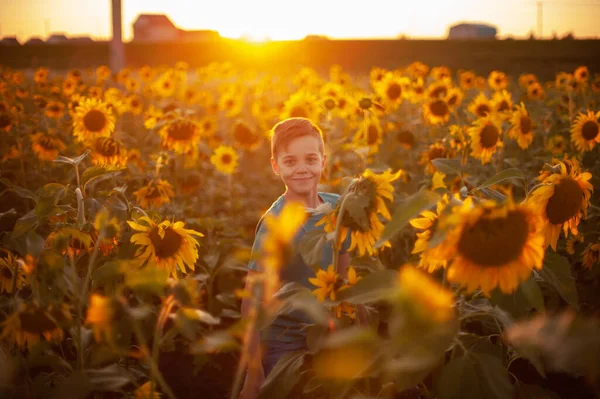 Portret pięknego blondyna chłopca na letnim polu słonecznika — Zdjęcie stockowe