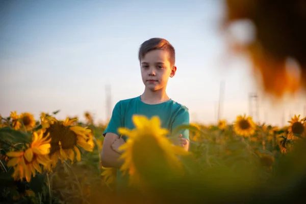 Retrato del hermoso niño rubio en el campo de girasol de verano —  Fotos de Stock