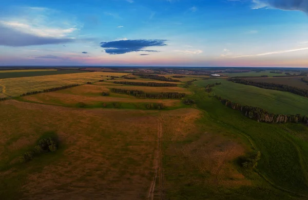 Vue aérienne supérieure des champs verts et des prairies — Photo