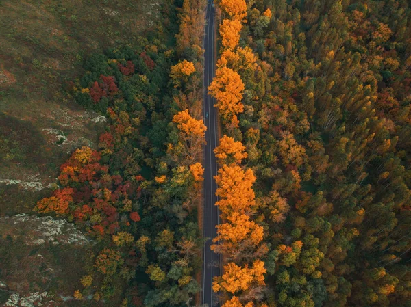 Veduta aerea della strada nella bellissima foresta di Altai autunno — Foto Stock