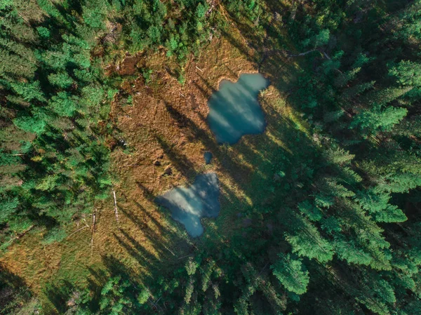 Bellissimi due piccoli laghi nelle montagne di Altai — Foto Stock