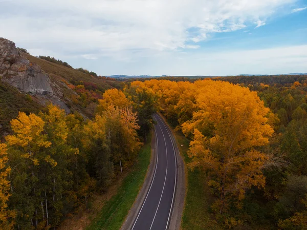 美しい秋の道路の空中ビュー｜アルタイの森 — ストック写真
