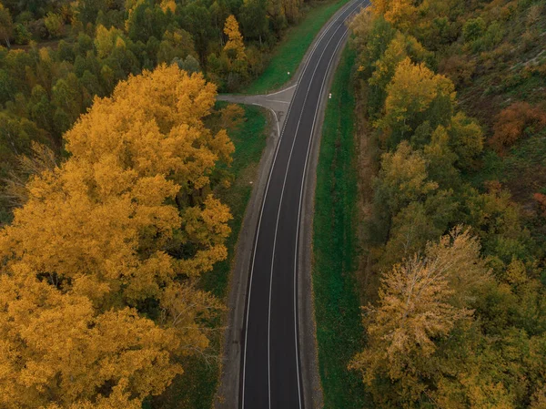 美しい秋の道路の空中ビュー｜アルタイの森 — ストック写真