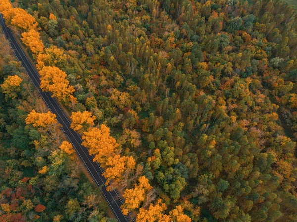 Veduta aerea della strada nella bellissima foresta di Altai autunno — Foto Stock