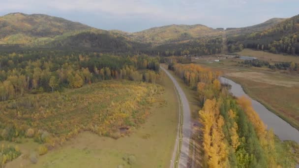 Légi felvétel az útról gyönyörű ősszel Altai erdő — Stock videók