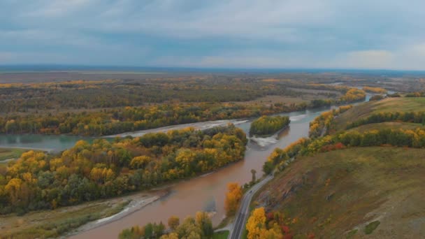 Luchtfoto van de weg in het prachtige herfst Altai bos — Stockvideo